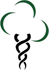Logo des carnets de santé d'Arboquébec