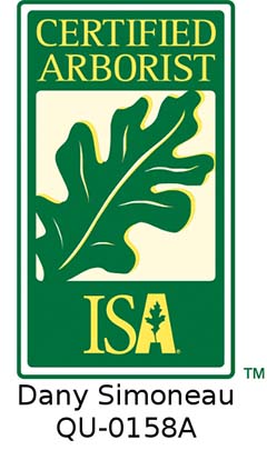 Diplôme de certification d'arboriculteur de la ISA - Dany Simoneau