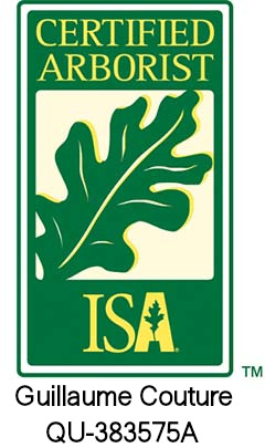 Diplôme de certification d'arboriculteur de la ISA - Guillaume Couture