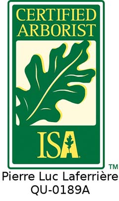 Diplôme de certification d'arboriculteur de la ISA - Pierre Luc Laferrière